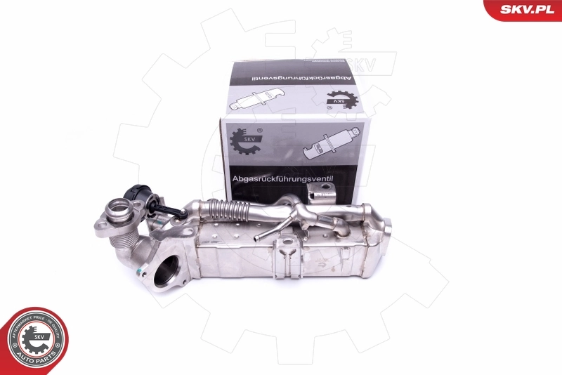 Cooler, exhaust gas recirculation